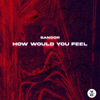 Sandor - How Would You Feel