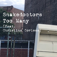 Snakedoctors - Too Many