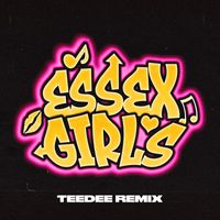 Rude Kid - Essex Girls (feat. Jaykae, Silky & Janice Robinson) (TeeDee Remix [Explicit])