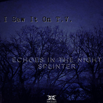I Saw It On T.V. - Echoes in the Night/ Splinter