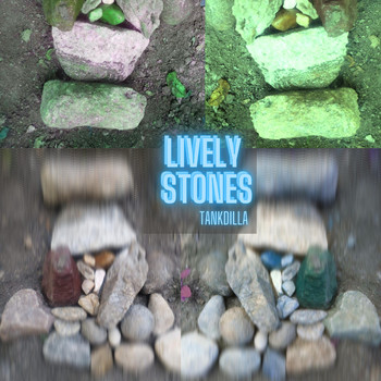 Tankdilla - Lively Stones