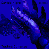 Davide Nigro - Techno Culturae