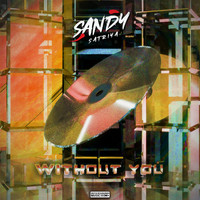 Sandy Satriya - Without You