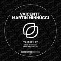 Vaicentt, Martin Minnucci - Shake Up