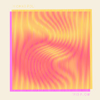 Thomas Poli - This Flow