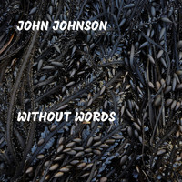 John Johnson - Without Words