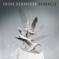 Sound Behaviour - Seagulls