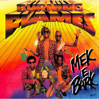 Burning Flames - Mek E Bark