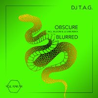 DJ T.A.G. - Obscure