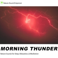 Nature Sound Emporium - Morning Thunder