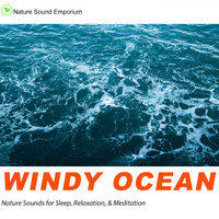 Nature Sound Emporium - Windy Ocean