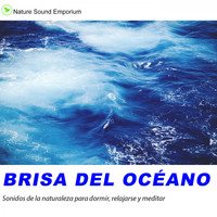 Nature Sound Emporium - Brisa Del Océano