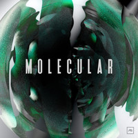 Molecular - Culture EP