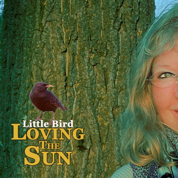Loving The Sun - Little Bird