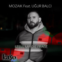 Mozaik - stell mir die frage