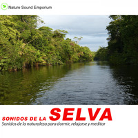Nature Sound Emporium - Sonidos De La Selva