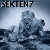 Sekten7 - YOU WANT TO SEE THE LIGHT