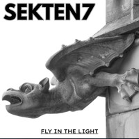 Sekten7 - FLY IN THE LIGHT