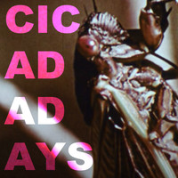 Will Wood - Cicada Days