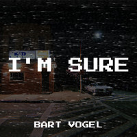 Bart Vogel - I'm Sure
