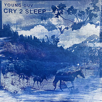 Young Guv - Cry 2 Sleep
