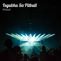 Pitbull - Isgubhu Sa Pitbull