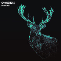 Gnome Hole - Blue Forest
