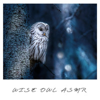 Hushly - Wise Owl ASMR