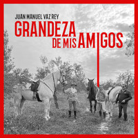 Juan Manuel Vaz Rey - Grandeza de mis amigos