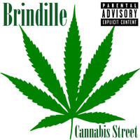 Brindille - Cannabis Street (Nouvelle version)