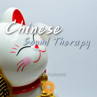 Chinese Playlists - Chinese Sound Therapy