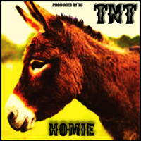 TNT - Homie (Explicit)
