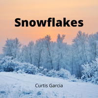 Curtis Garcia - Snowflakes