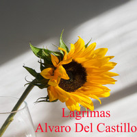 Alvaro Del Castillo - Lágrimas