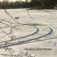 Mit - The Male Idiot Theory