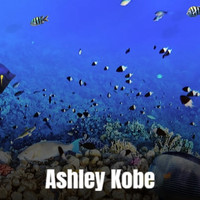 Sunan - Ashley Kobe