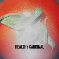 Jarno - Healthy Cardinal