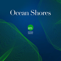 Stefan Zintel - Ocean Shores (Relax to the Roaring Sound of Ocean Waves)