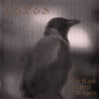 Veles - The Black Ravens Flew Again