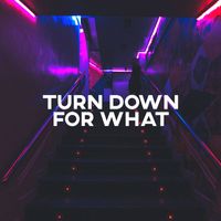 Dj Snow - Turn Down for What