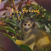 Bana - Ace Brownie