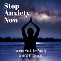 Anxiety Relief - Stop Anxiety Now: Calming Music for Anxiety and Panic Attacks