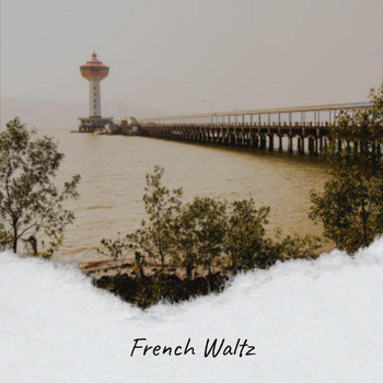 Various Artist - French Waltz