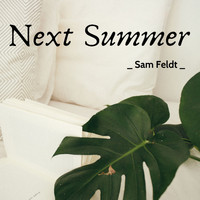 Sam Feldt - Next Summer