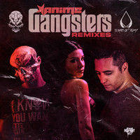 Anime - Gangsters Remixes (Explicit)