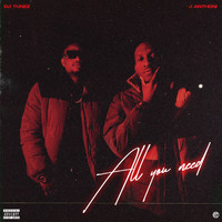 DJ Tunez and J. Anthoni - All You Need (Explicit)