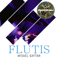 Misael Gaytan - Flutis
