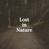 Various Artists - Lost in Nature