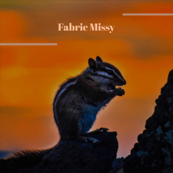 Various Artists - Fabric Missy