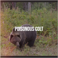 Kerina - Poisonous Colt